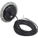 PAL EvenGlow Lrg Niche Lt, Cool White, 12v ac/dc, 80ft, SS Esc : 64-EGLCW-80