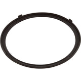 Gasket, Pentair AquaLumin III, Light Lens : 619599Z