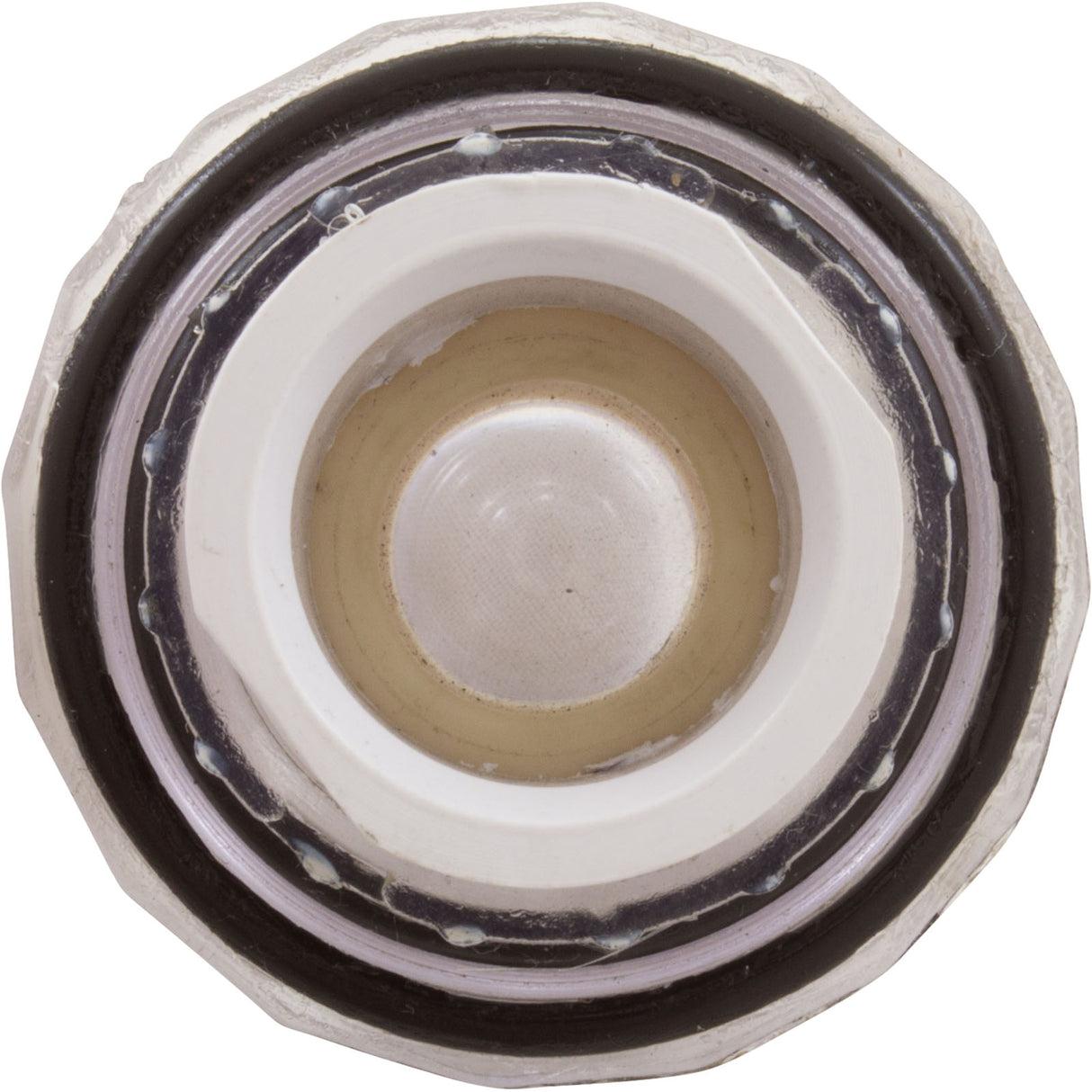 Lens Subassembly, Pentair Fiberworks OptiFusion, w/o Housing : 22102000