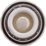Lens Subassembly, Pentair Fiberworks OptiFusion, w/o Housing : 22102000