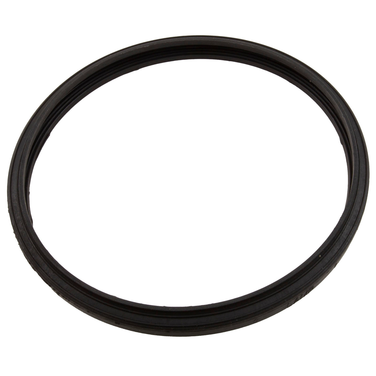 Gasket, Sta-Rite Sunbrite/Sunglow, Light Lens : 05501-0005Z
