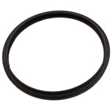 Gasket, Sta-Rite Sunbrite/Sunglow, Light Lens : 05501-0005Z