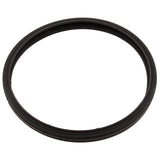 Gasket, Sta-Rite Sunbrite/Sunglow, Light Lens : 05501-0005Z