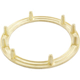 Light Niche Backup Ring, Pentair, AquaLight, Tapped, SS : 79205600