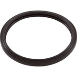 Light Gasket, Zodiac, RGBW LED Pool Light, Silicone : R0790500