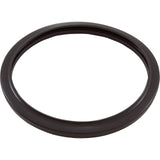 Light Gasket, Zodiac, RGBW LED Pool Light, Silicone : R0790500