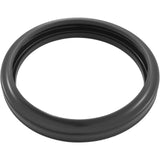 Light Gasket, Zodiac Small LED Light, Spa, Silicone : R0791100