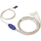 LED Spyder Lights, Balboa Water Group, For String Lights : 20-5926