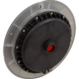PAL EvenGlow Lrg Niche Light, RGB, 12v Head Only, SS Escutcheon : 64-EGL-01