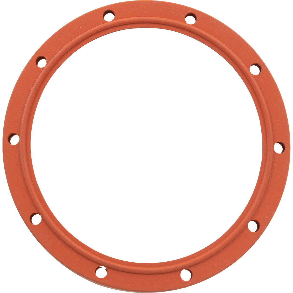 Gasket, SwimQuip Pool Light, Silicone, Extra Heavy Duty : LPL-G-S