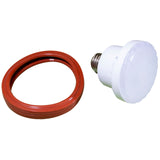 Repl Bulb, PureWhite Pro, LED, Spa, 12v, SpaBrite/Astrolite II : LPL-M2-CW-12