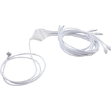 Replacement Bulb, RD, 2-Wire, Mini POL, Six-Way LED, 67" : MINI0-RD0C6
