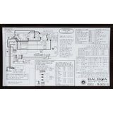 Control, BWG VS501Z, P1, P2 or Bl, Oz, Lt, 4kW, 115v/230v : G4152-01