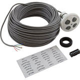 Control Panel, Jandy Spa-Side 4 Function, White, 100' Cord : 7441