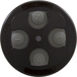 Control Panel, Jandy Spa-Side 4 Function, Black, 100' Cord : 7442