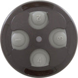 Control Panel, Jandy Spa-Side 4 Function, Gray, 100' Cord : 8049