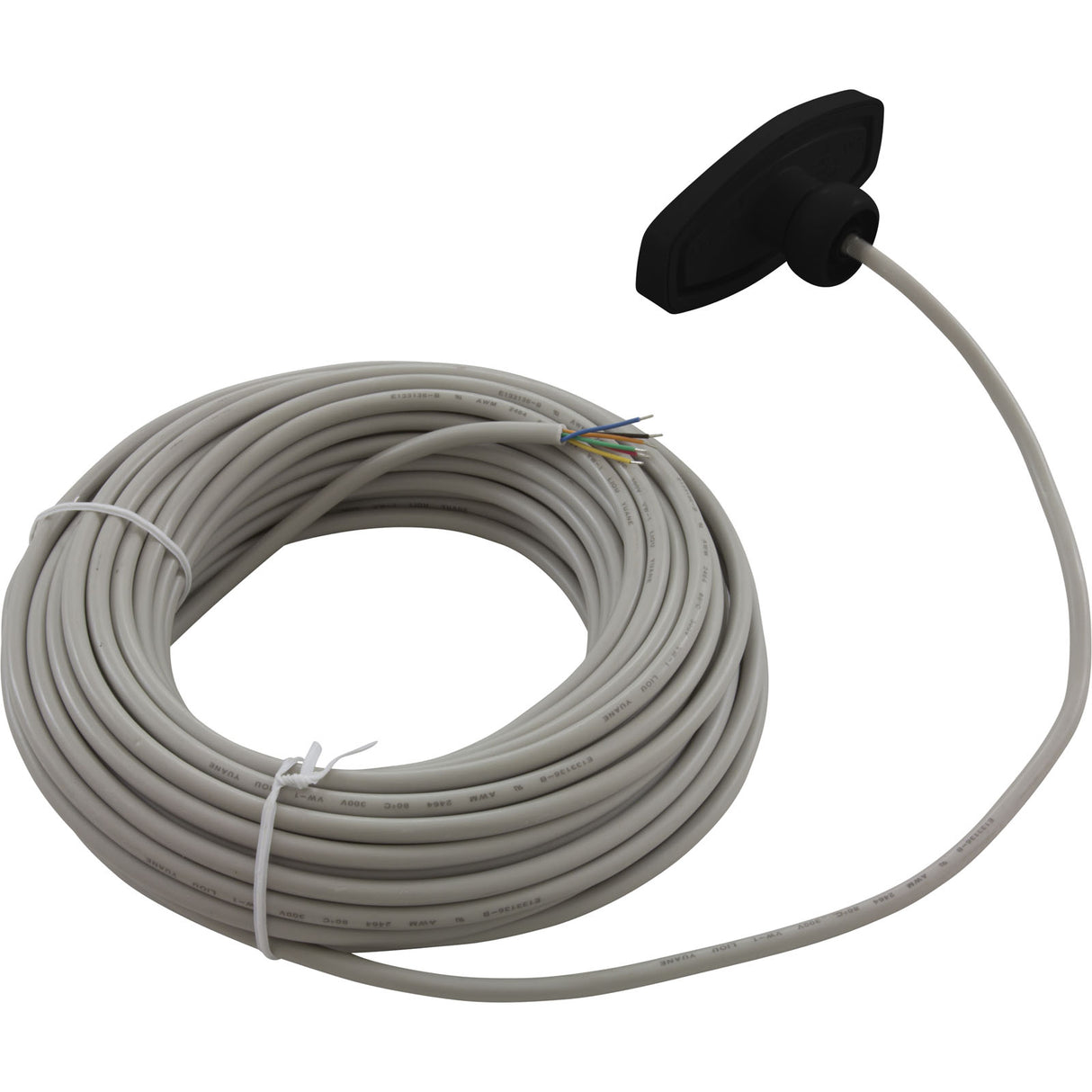 Control Panel, Pentair iS4, 50ft Cable, Black : 521891