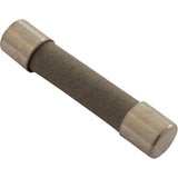 Slo Blo Fuse, 10A, 115v, MDA : MDA-10