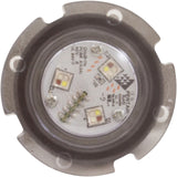 Light, Pentair Globrite, 12V, 15W, 30' Cord : 602053