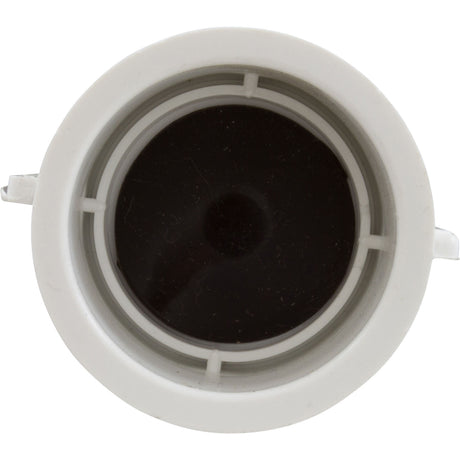Bath 1" Check Valve W/Flapper Assy : 670-1100 - Waterway Plastics - 806105406989 - PartsForSpas.com