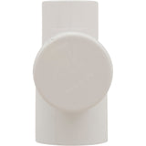 100Sq.Ft. Skim Filter Mnfld Tee W/Plug : 672-5090 - Waterway Plastics - 806105120793 - PartsForSpas.com