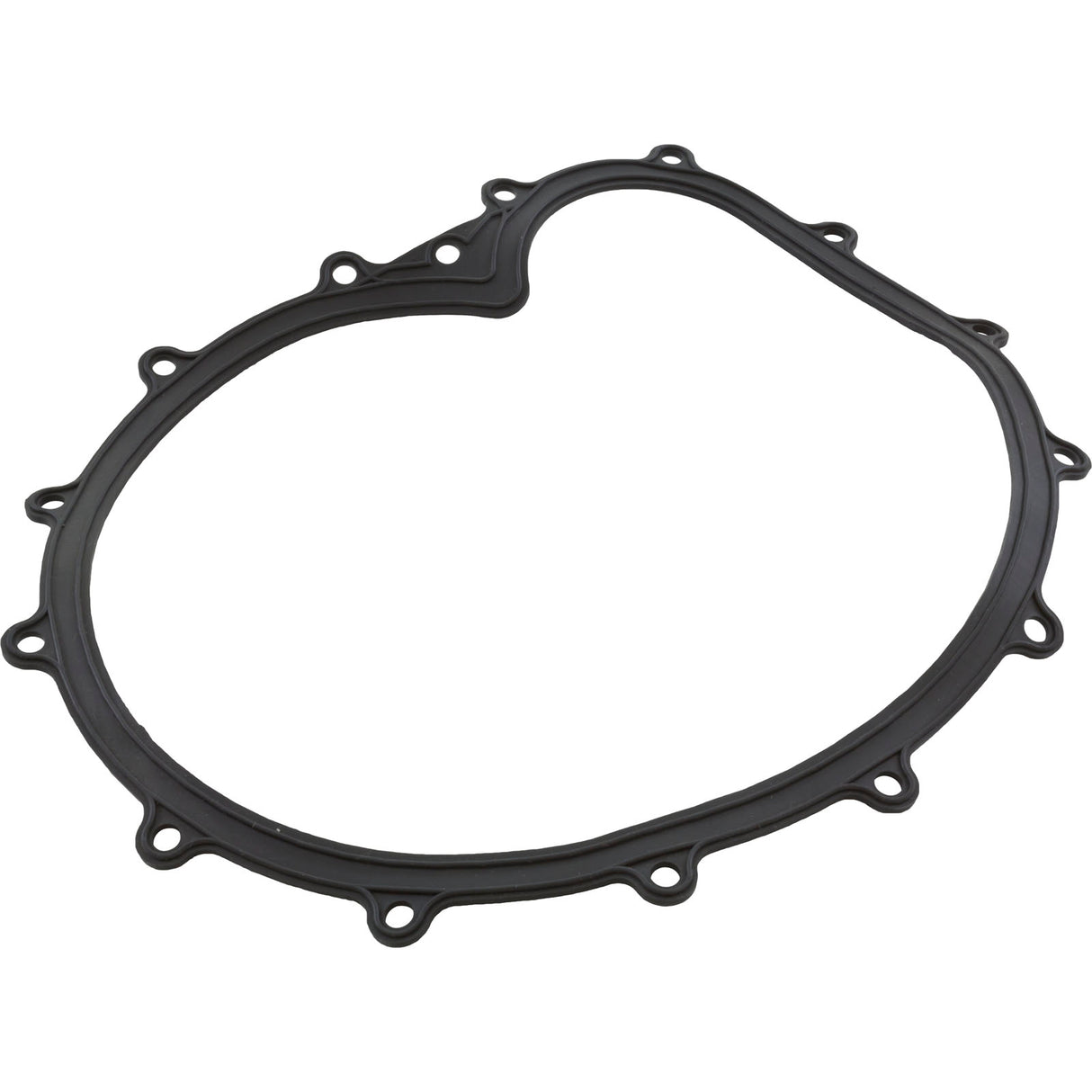 Faceplate Gasket, Big Red Pump : 711-2610