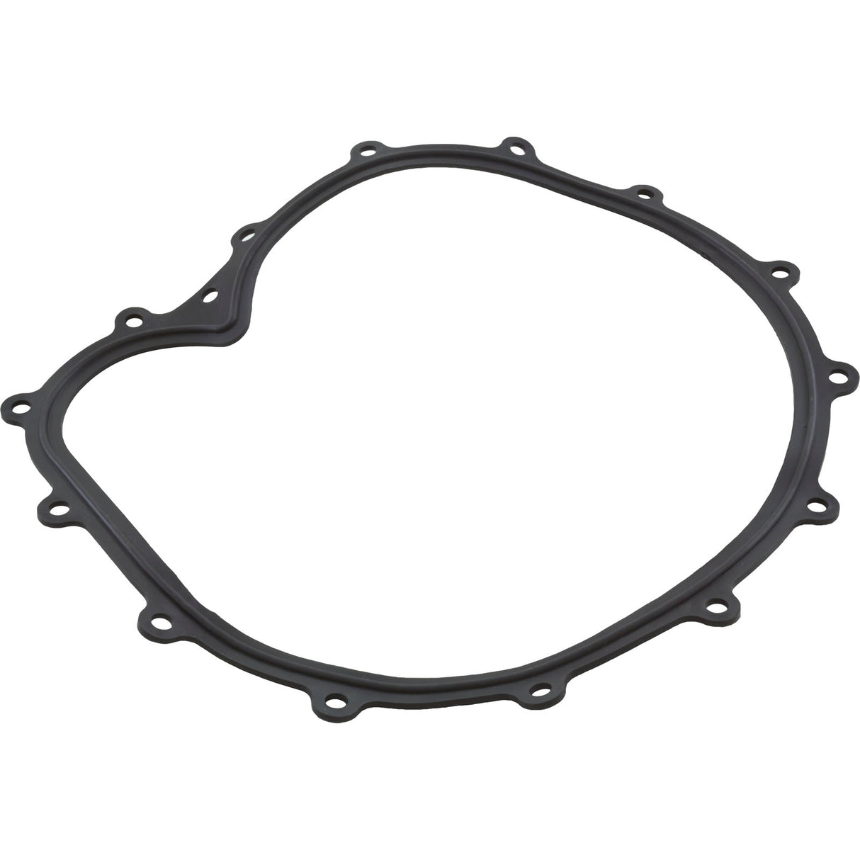 Faceplate Gasket, Big Red Pump : 711-2610