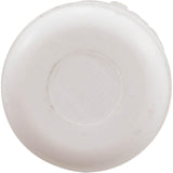 Plug, Waterway, 1/2"spg  (Bagged) : 715-0000B