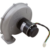 Combustion Blower Kit 175K Na : 77707-0250 - Pentair - 77707-0250 - PartsForSpas.com