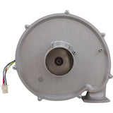 Combustion Blower Kit 175K Na : 77707-0250 - Pentair - 77707-0250 - PartsForSpas.com