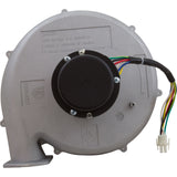 Combustion Blower Kit 175K Na : 77707-0250 - Pentair - 77707-0250 - PartsForSpas.com