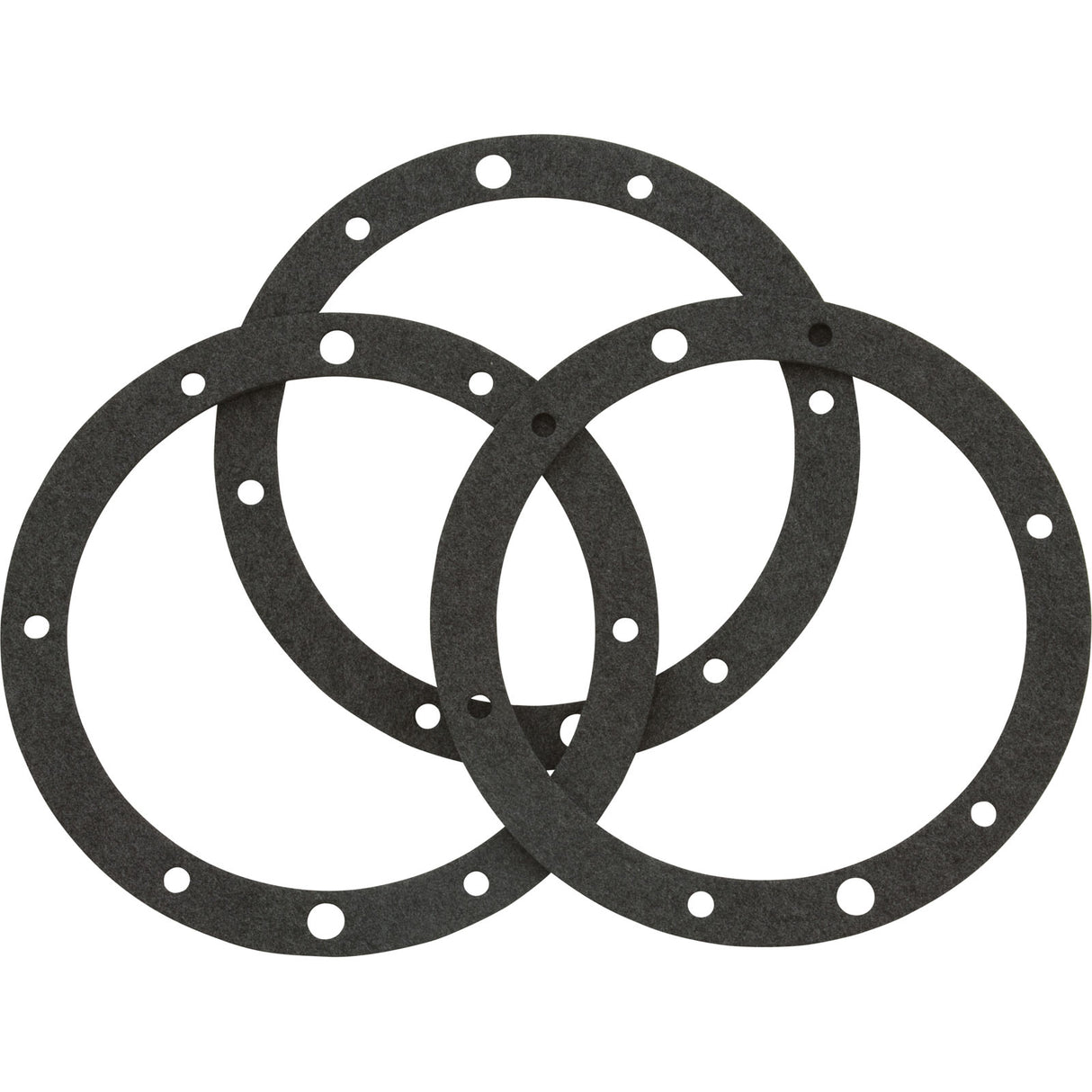 Gasket Set, Pentair, Small SS Niche, Dbl Wall, 8-Hole, 3 Pk : 79204603