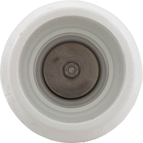 Pressure Relief Valve, Zodiac Polaris Caretaker Valve : 1-1-220 - Polaris/Zodiac - 7.38919E+11 - PartsForSpas.com