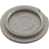 Hub Cap, Zodiac Polaris TR35P, Silver : R0615600 - Zodiac - 052337068352 - PartsForSpas.com