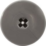 Retainer Screw, Zodiac Polaris Quattro™ P40/Sport, Slvr, 2 Pk : R0838800 - Polaris/Zodiac - 052337079303 - PartsForSpas.com