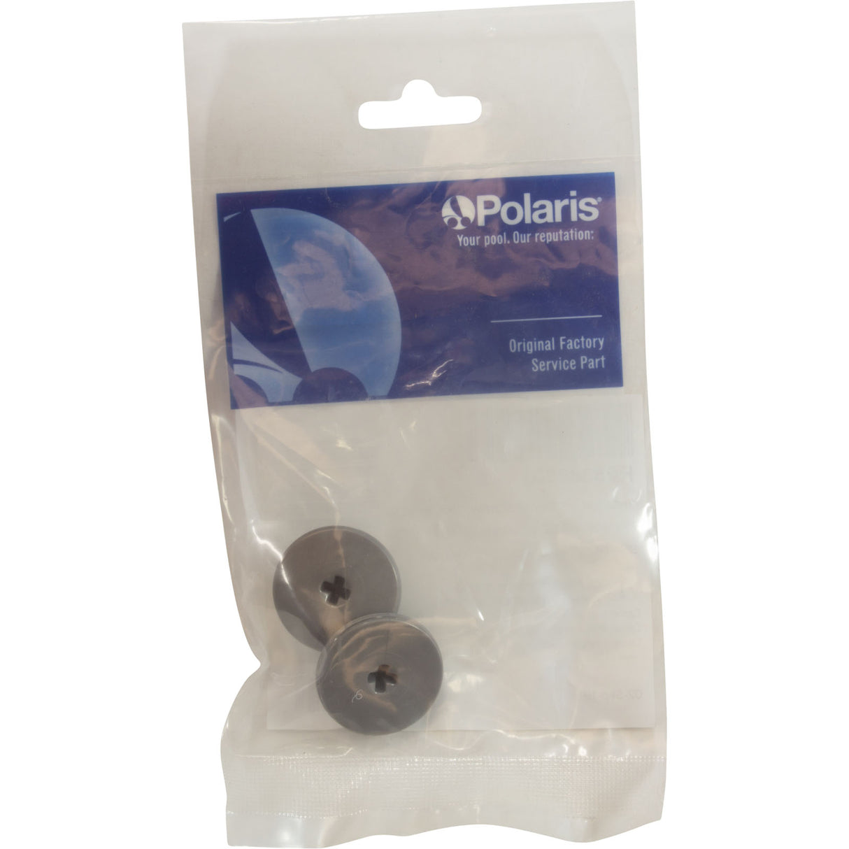 Retainer Screw, Zodiac Polaris Quattro™ P40/Sport, Slvr, 2 Pk : R0838800 - Polaris/Zodiac - 052337079303 - PartsForSpas.com