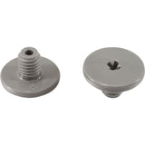 Retainer Screw, Zodiac Polaris Quattro™ P40/Sport, Slvr, 2 Pk : R0838800 - Polaris/Zodiac - 052337079303 - PartsForSpas.com
