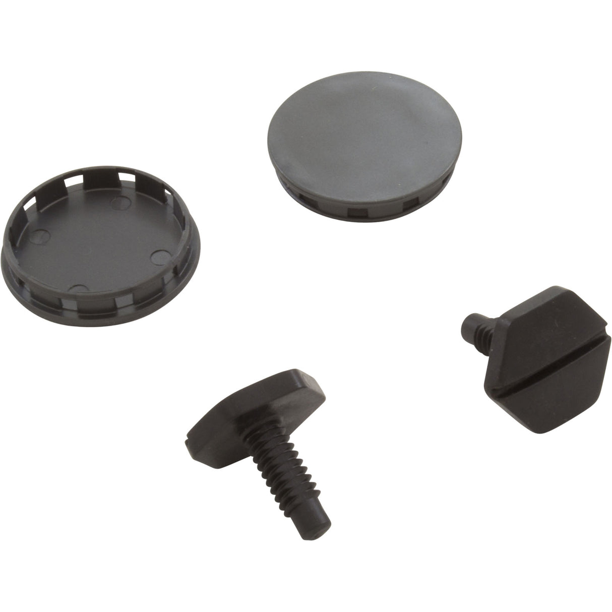 Hub Cap Kit, Pentair Racer, w/qty 2 Screws : 360254 - Pentair - 360254 - PartsForSpas.com