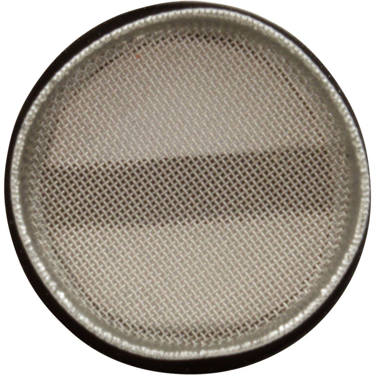 Wall Fitting Screen, Pentair L79BL Cleaner, 1-1/2" : EJVW2 - Letro/Pentair - 807318018105 - PartsForSpas.com