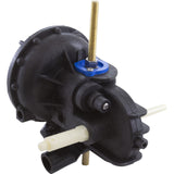 Internal Motor, Pentair Arneson II, with Gears : LG272