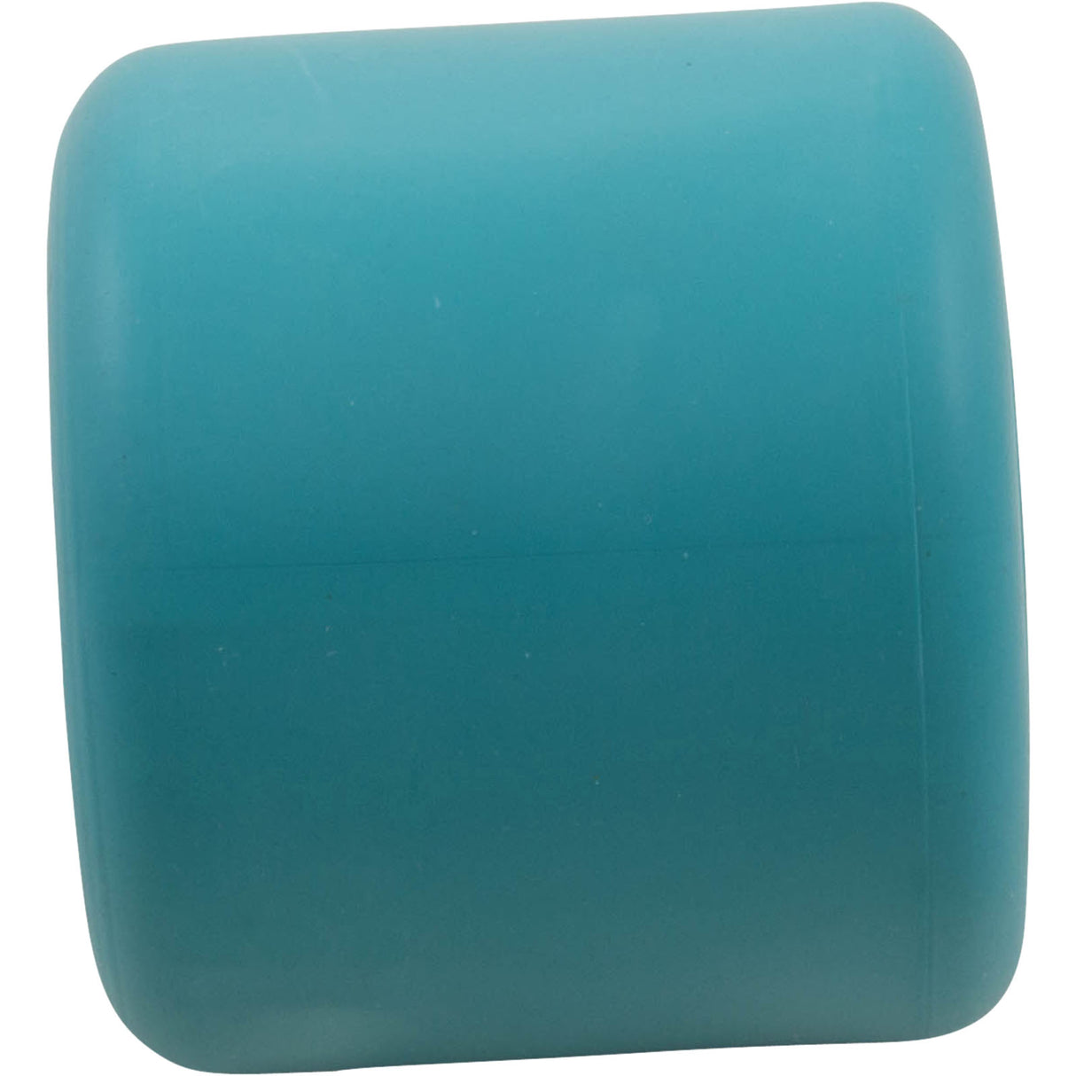 Hose Weight, Pentair E-Z Vac Cleaner : K12657 - Pentair - 718705220097 - PartsForSpas.com