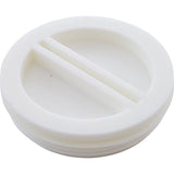 Plug, Pentair Vac-Mate Skimmer, 2", Threaded : R22011 - Rainbow/Pentair - 788379007553 - PartsForSpas.com