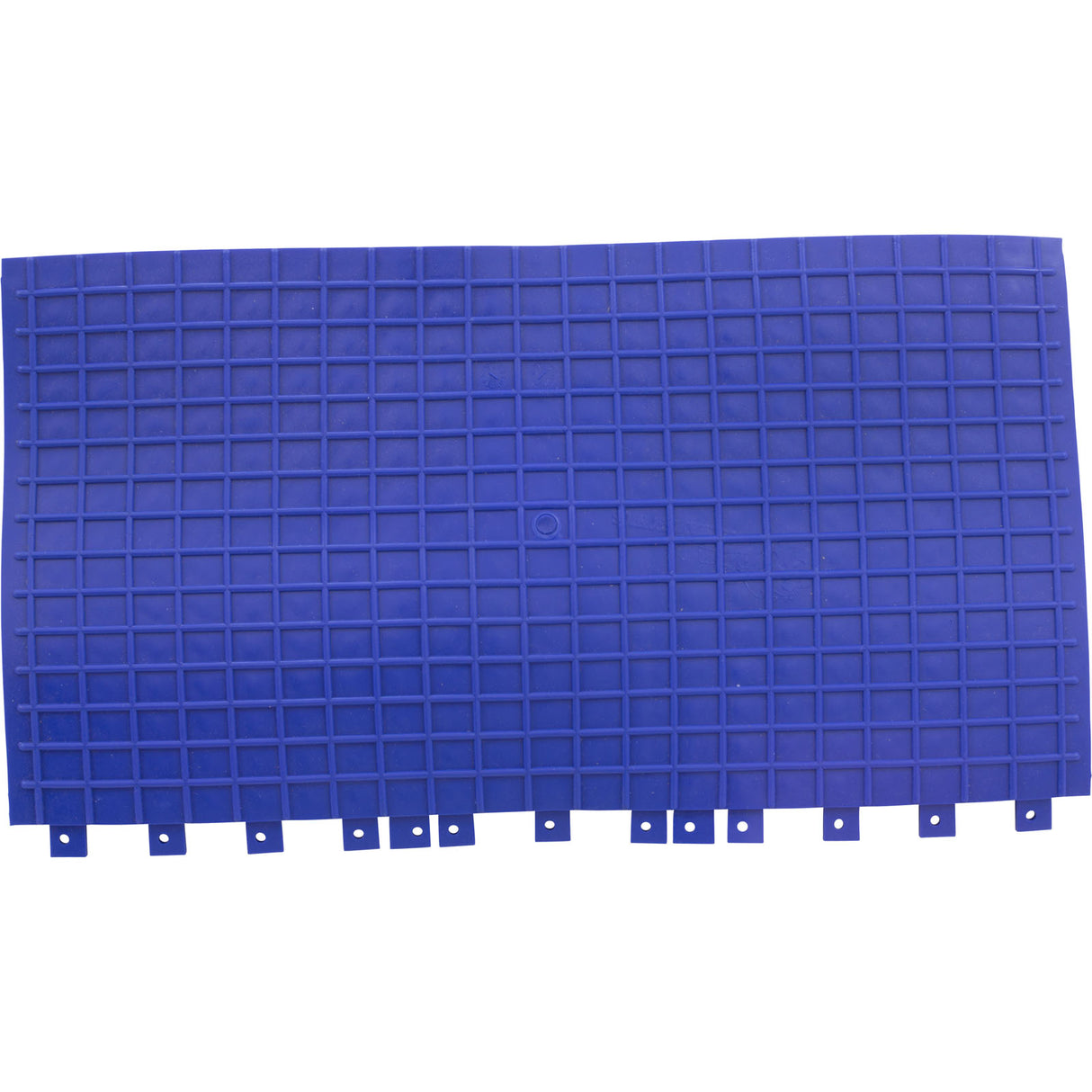 Brush, Maytronics Dolphin Diagnostic/3001, Blue, PVC : 6101603 - Maytronics - 718117196157 - PartsForSpas.com