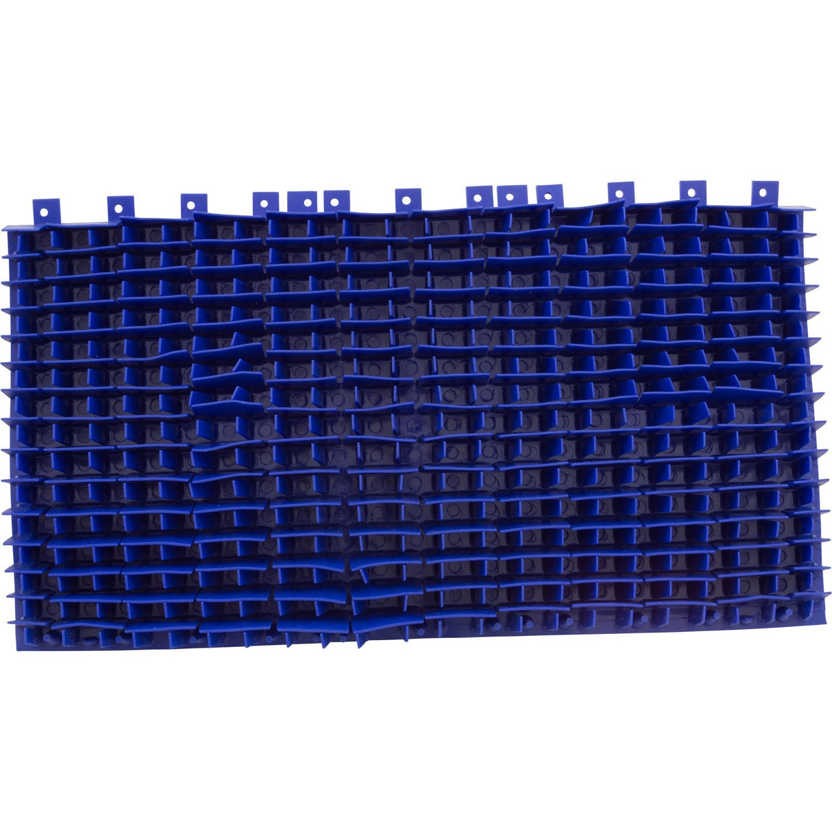 Brush, Maytronics Dolphin Diagnostic/3001, Blue, PVC : 6101603 - Maytronics - 718117196157 - PartsForSpas.com