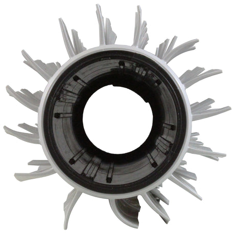 Rear Brush, Maytronics Dolphin Robotic Cleaners, Gray : 6130000 - Maytronics - 00810071223440 - PartsForSpas.com