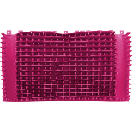 Brush Climbing, Maytronics Dolphin, Magenta, w/o Rings, Qty 2 : 6101640-R2 - Maytronics - 718117196225 - PartsForSpas.com