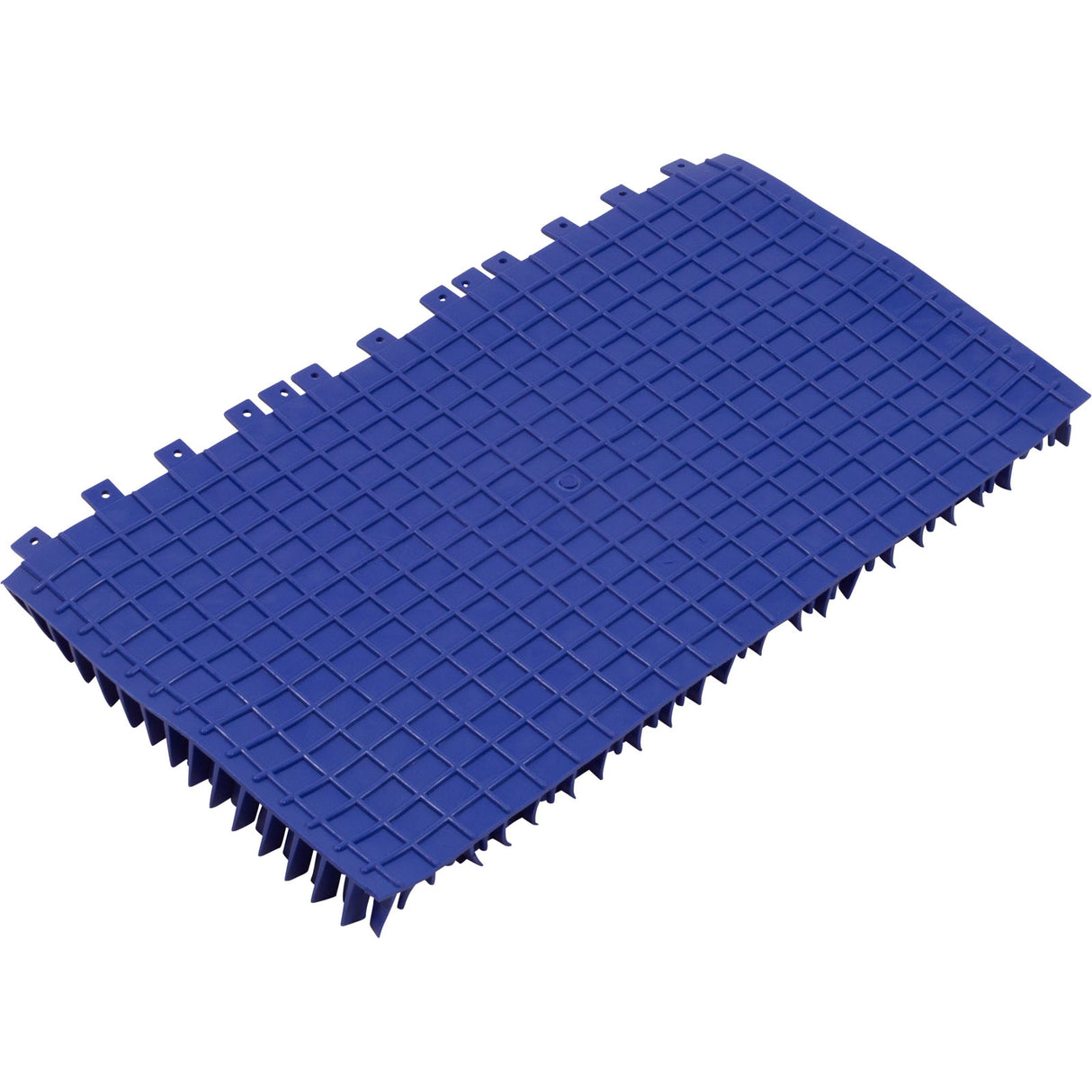 Brush Climbing, Maytronics Dolphin, Blue, w/o Rings, Qty 2 : 6101660-R2 - Maytronics - 890908002851 - PartsForSpas.com