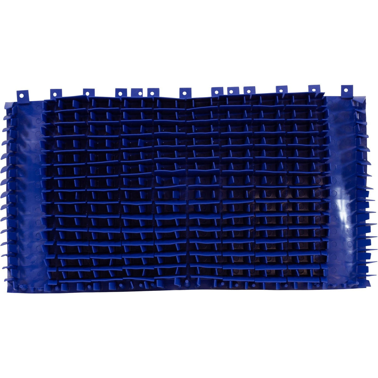 Brush Climbing, Maytronics Dolphin, Blue, w/o Rings, Qty 2 : 6101660-R2 - Maytronics - 890908002851 - PartsForSpas.com