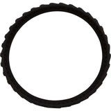 Track, Zodiac MX6/MX8, Black : R0526100 - Zodiac - 052337054546 - PartsForSpas.com