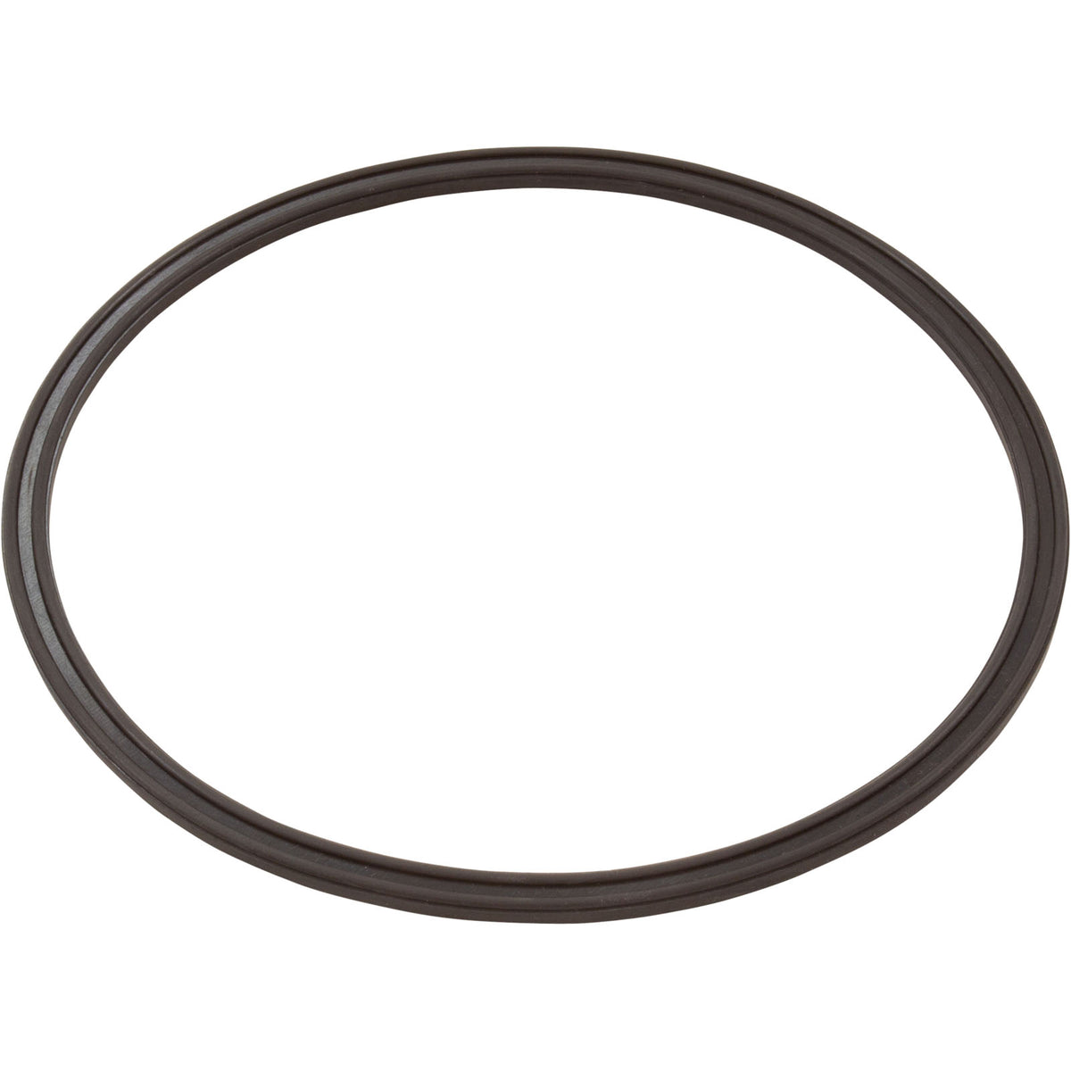 Leaf Catcher Seal, Zodiac Cyclonic Leaf Catcher : R0623300